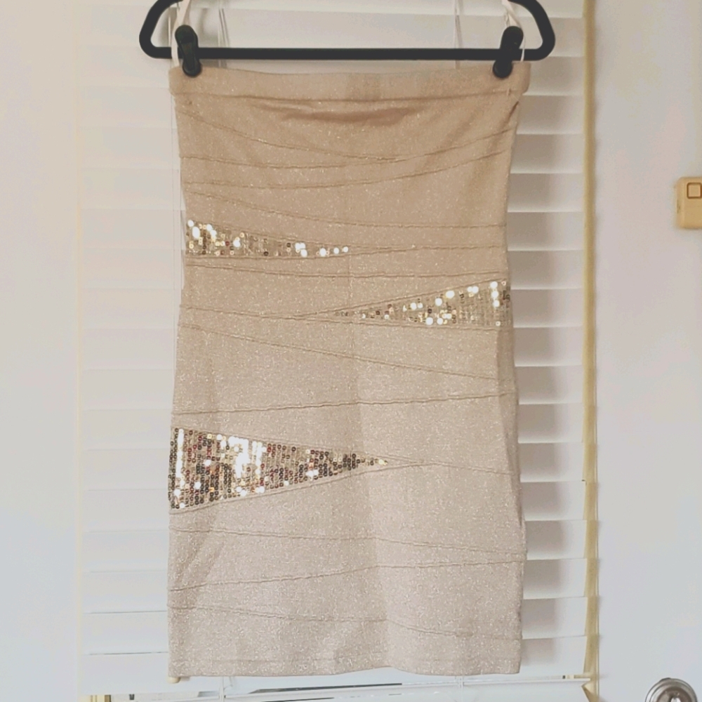 NWT Women's Champagne Sequin Tube Dress